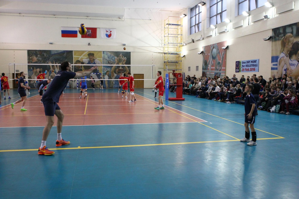День волейбола